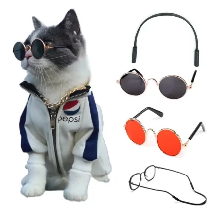 Lentes o gafas antideslizantes para gatos y mascotas