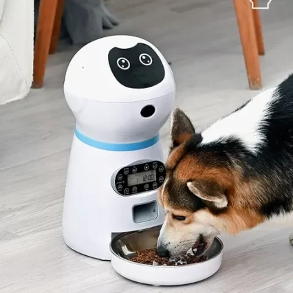 Máquina inteligente de alimentación automática para gatos - USB
