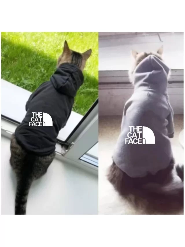 Sudadera-con-capucha-con-estampado-de-gato-ropa-moderna-con-estampado-de-letras-para-Oto-o