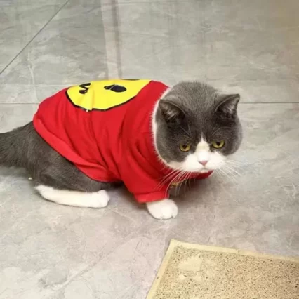 Sudadera-con-estampado-de-cara-sonriente-para-gato-ropa-para-mascotas-jersey-para-perros-peque-os-3