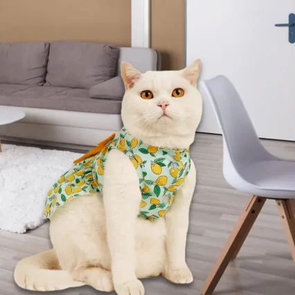 Vestido-de-gatito-de-textura-suave-para-fiesta-chaleco-con-estampado-de-lim-n-falda-de-2
