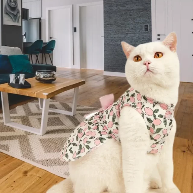 Vestido-de-gatito-de-textura-suave-para-fiesta-chaleco-con-estampado-de-lim-n-falda-de