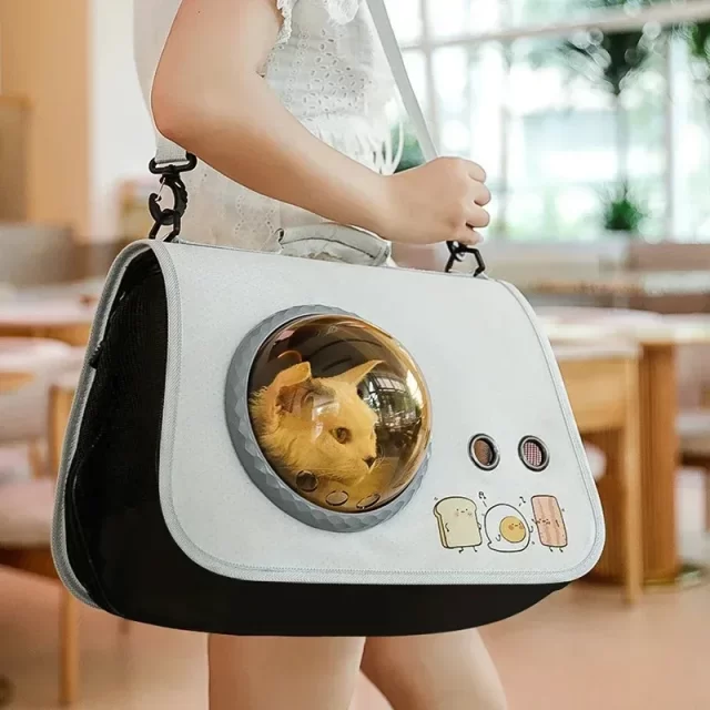 Bolsa-de-hombro-plegable-port-til-para-mascotas-c-psula-espacial-maleta-para-gatos-Petkit-mochila