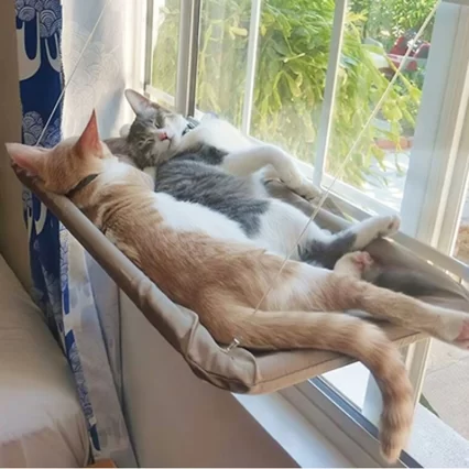 Hamaca-colgante-a-rea-para-mascotas-cama-para-gatos-casa-para-gatitos-marco-de-escalada-ventana-3
